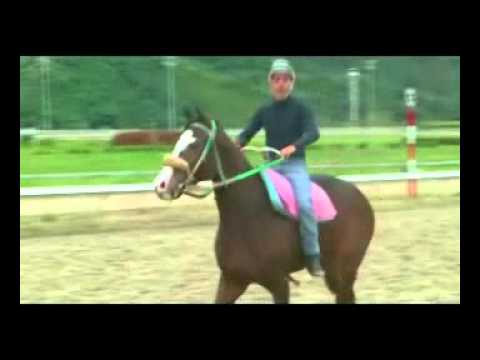 5Y6 EN VIDEO DOMINGO 29 ENERO 1ERA PARTE