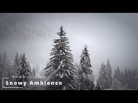 Ambient Study Scapes and Music - Snowy Ambience 1 Hour