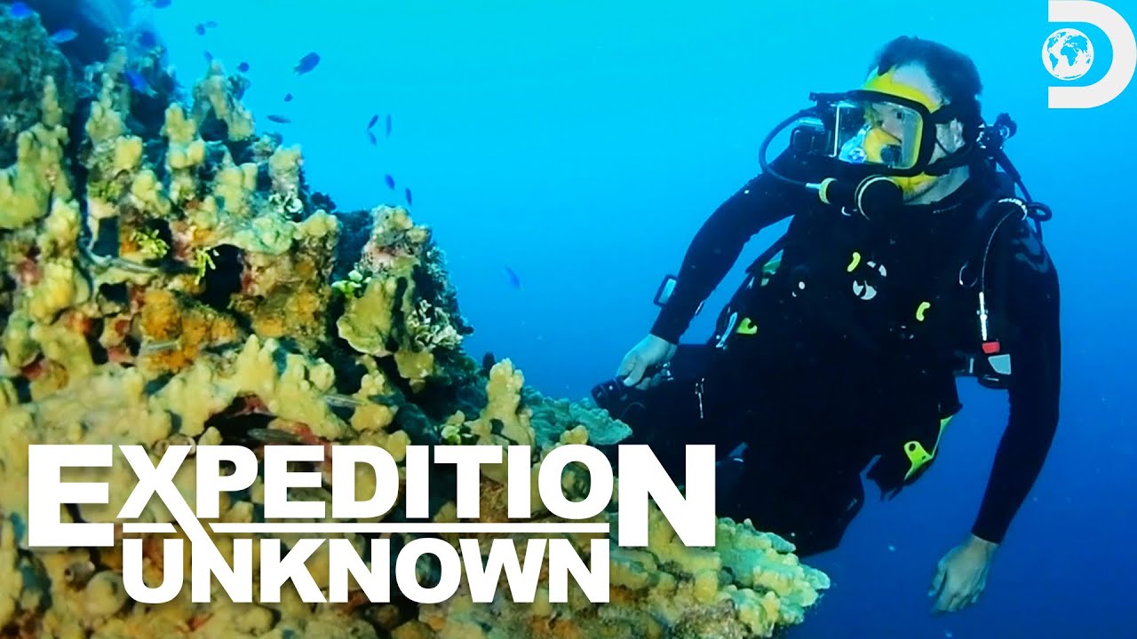 YouTube Thumbnail Downloader FULL HQ IMAGE