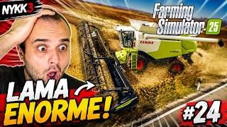 Lama Troppo Grossa Tenerla o Venderla?+Aggiornamenti Mia Mod - #24 Farming Simulator 25 Deutschland