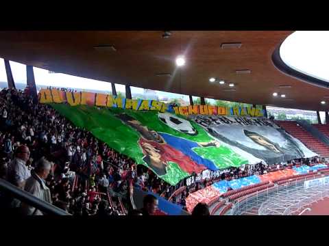 FC Basel - supporters, choreos, ultras 2011