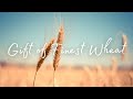 Gift of Finest Wheat - You Satisfy the Hungry Heart (OFFICIAL Lyric Video)