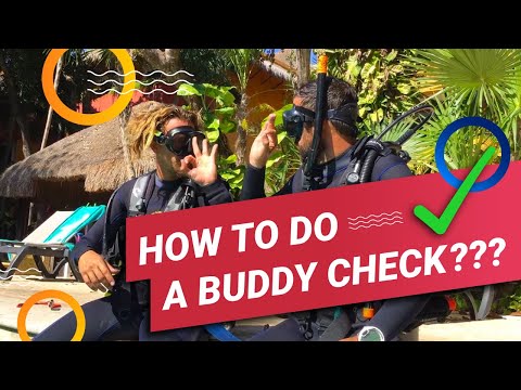 How To Do a Buddy Check: One Scuba Tip in One Minute