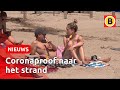 Eerste hittegolf van het jaar in Brabant | Omroep Brabant