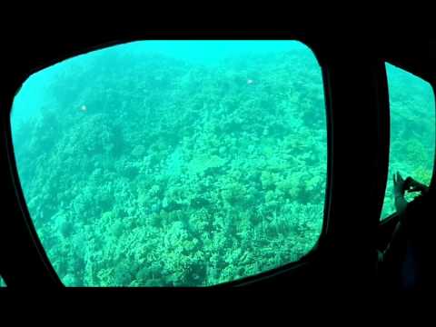 Seascope Hurghada Ägypten Fische beobachten