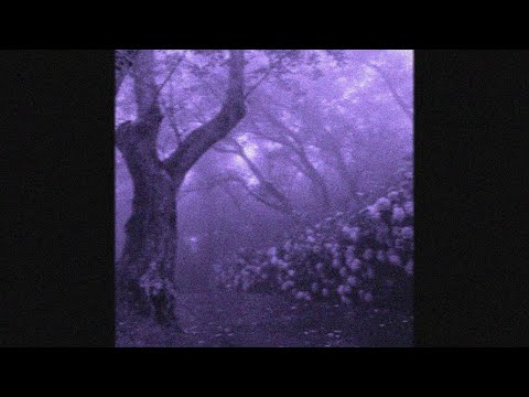 ✩⁂✧✦ free ambient x atmospheric dnb type beat // nowhere 3 . ݁₊ ⊹ . ݁˖ . ݁ (prod. TiiRed)