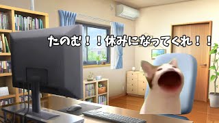 【猫ミーム】大雪の中でも休校にしない自称進学校 #猫ミーム #猫マニ #猫マニア #catmemes