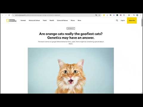 Item video thumbnail