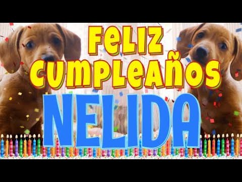 ¡Feliz Cumpleaños Nelida! (Perros hablando gracioso) ¡Muchas Felicidades Nelida!