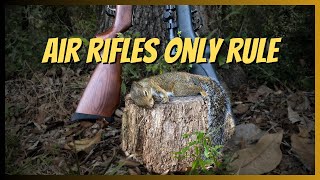Air Riffle Squirrel hunt Challenge plus cook
