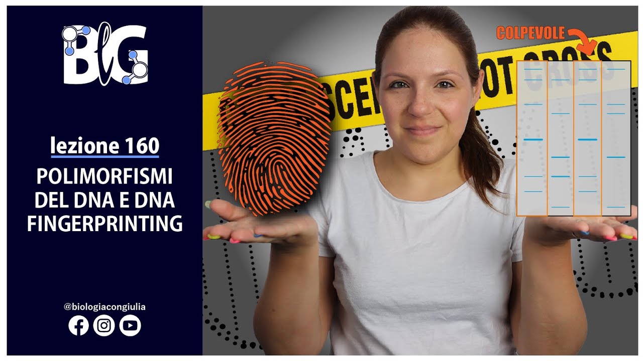 POLIMORFISMI del DNA e DNA FINGERPRINTING