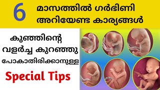 Six Month Pregnancy Special Video 🤰6 മാസ�