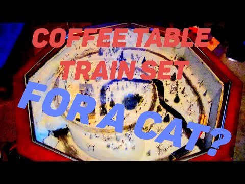 N scale coffee table train for cat