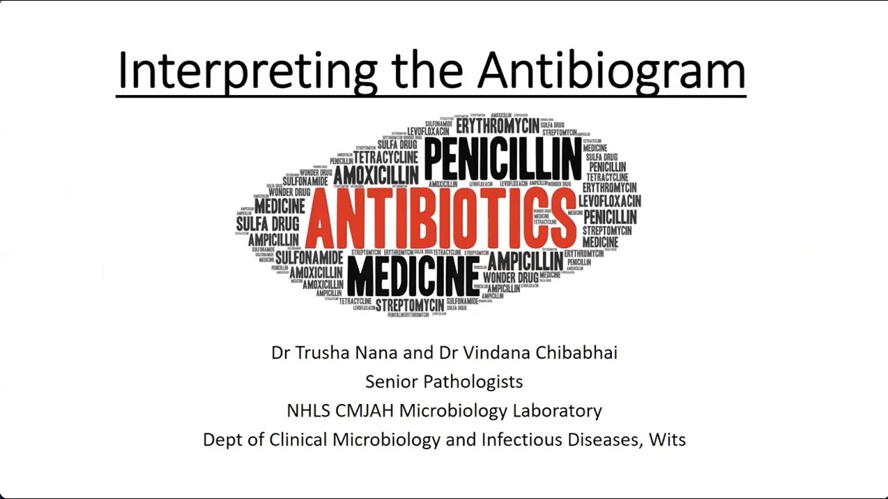 Interpreting the Antibiogram