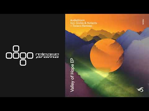 PREMIERE: AudioStorm - Shield (Gorkiz & Nufects Remix) [Transensations]