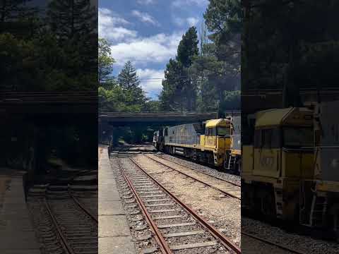 TRAINS AM22 Pacific National 5SP4 NR77 NR27 NR29 diverted due to flooding 16/12/2022