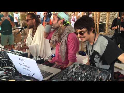 MissMassBlog Feathered Sun Performance