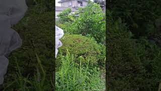 2025年8月11日