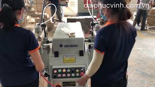 MÁY ĐÁNH MỘNG ÂM 2 đầu YOM-120 Yowcherng