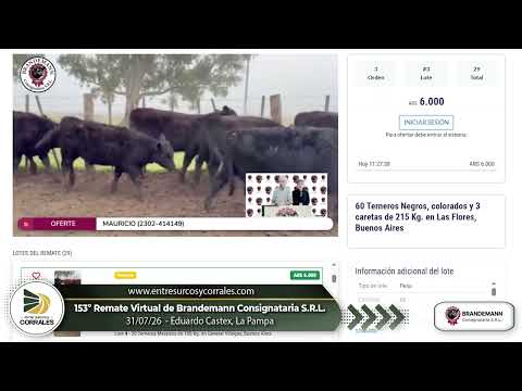 31-07-26 - 153º Remate Virtual de Brandemann Consignataria S.R.L. -   Eduardo Castex, La Pampa