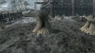 Skyrim честная работа