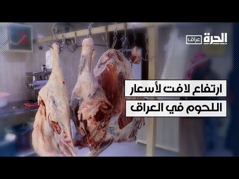 فيديو | ارتفاع لافت لأسعار اللحوم وسط تحديات أمام تربية المواشي