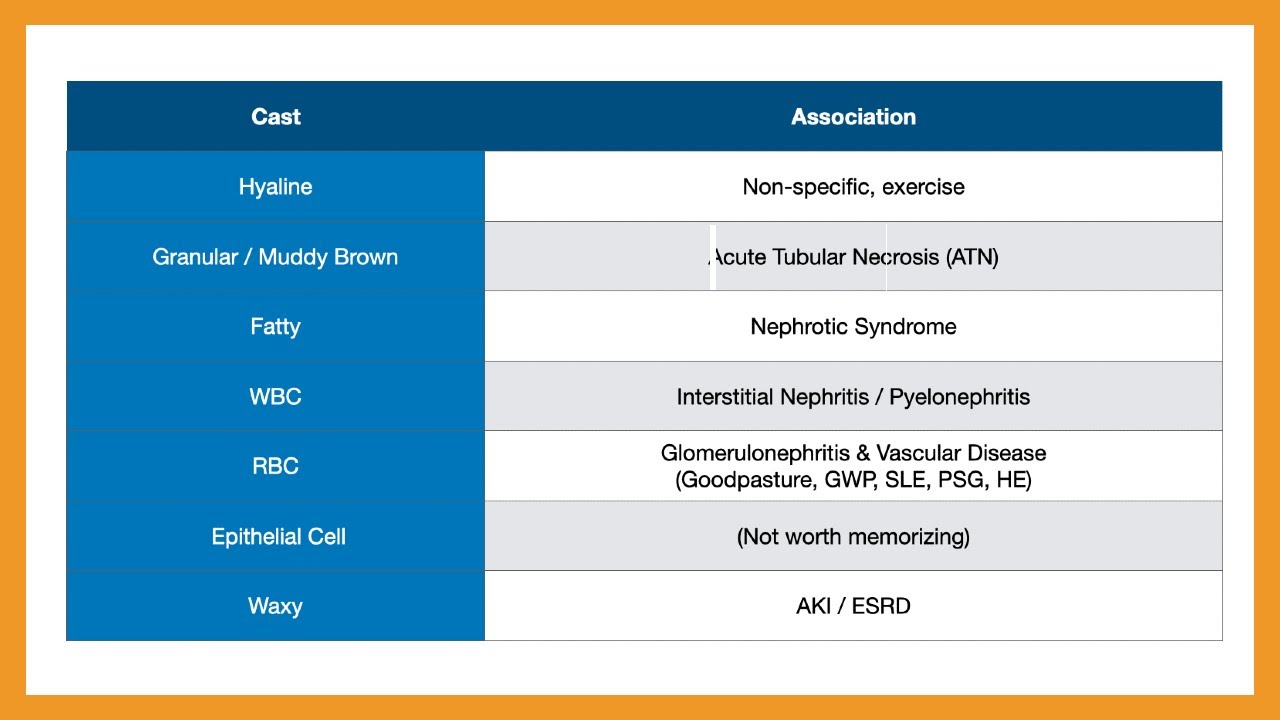 Urinary Casts