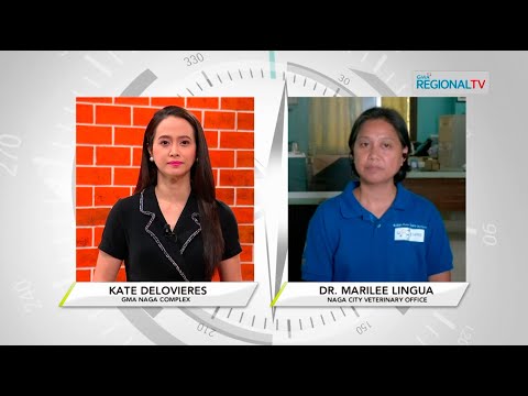 Balitang Bicolandia: GMA Regional TV Interviews: Dr. Marilee Lingua, OIC, Naga City Veterinarian