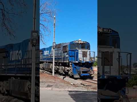 Trem em Marialva-PR composição vazia locomotivas ES43BBI. 15/08/2025 #train #ferrovia #railway