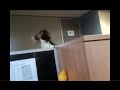 Sata Is A Dog Says Man On Video