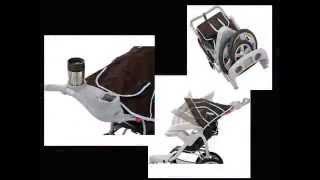 preview picture of video 'Best Jogging Stroller 2014 - InStep Safari Swivel Jogger'