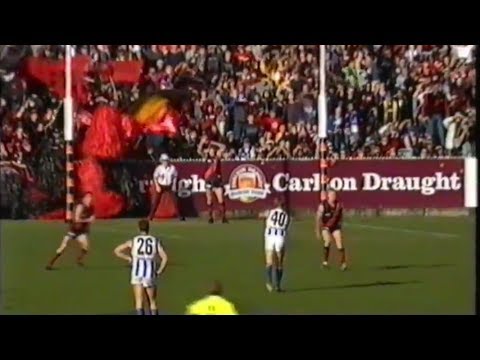 2001 AFL Round 16 - Essendon vs North Melbourne