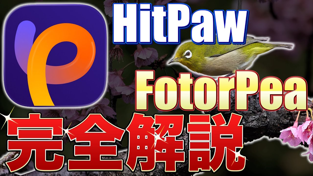 【HitPaw FotorPea】 使い方完全解説！ワンタッチで写真補正ができるAI画像編集ソフトの決定版