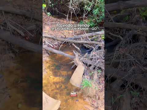 Fazenda à venda 14,7 Alqueires (71,15 ha) Ipameri-GO #fazendaavenda #agro