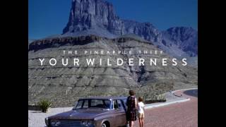 The Pineapple Thief - Take Your Shot