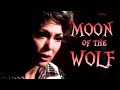 LA LUNA DEL LOBO Película En Español