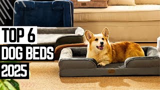 Top 6 Best Dog Beds 2025 🐶 These Dog Bed Can Change Your Pup's Night Life 🐶