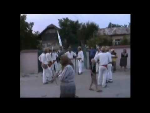 Calusari la Dabuleni.avi