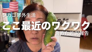Things that brought me joy | New Vietnamese restaurant in Chicago suburb | アラフィフ主婦のアメリカンライフ