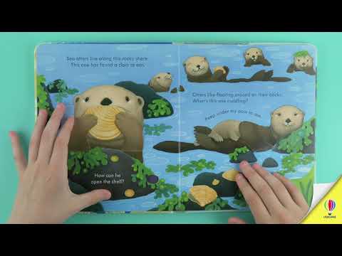 Книга Peep inside the Seashore video 1