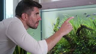 Aquatlantis VOLGA 180 Antracit