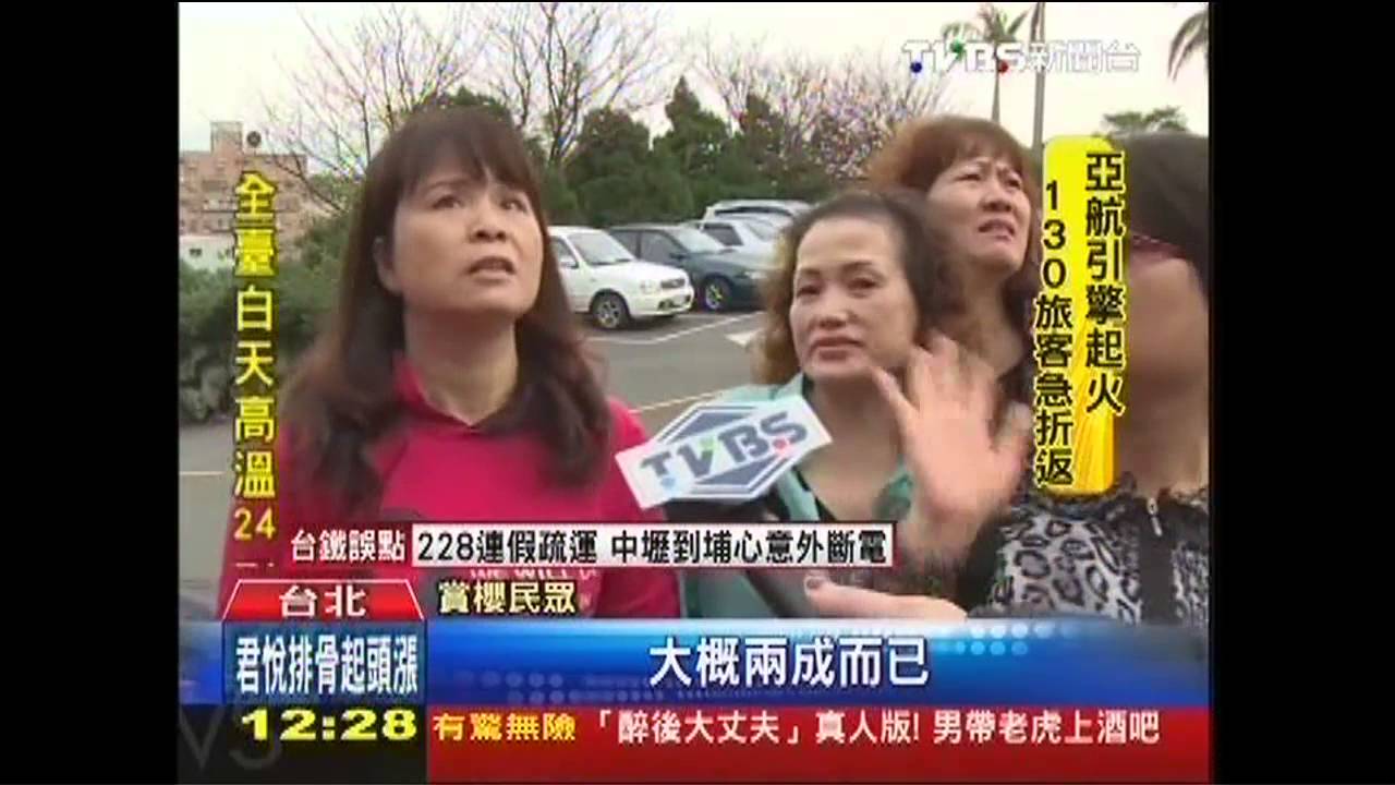 賞櫻再等等！　天元宮吉野櫻僅開2成
