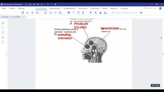 Cambridge IELTS 5 , Test 2,Passage 2: What's so funny!Proven technique to get 9 in IELTS reading
