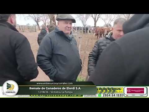 12-08-26 - Remate de Ganaderos de Elordi S.A. - Victorica, La Pampa