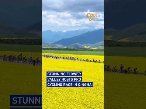 Stunning flower valley hosts pro cycling race in Qinghai #coolchina