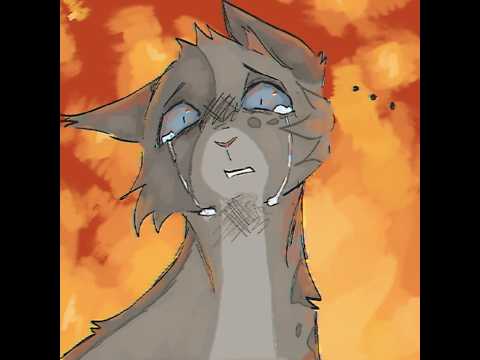 Maybe Cupid Won’t Miss - Ashfur & Squirrelflight Warrior Cats  #warriorcats #ashfur #animation