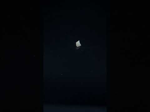 YouTube 썸네일