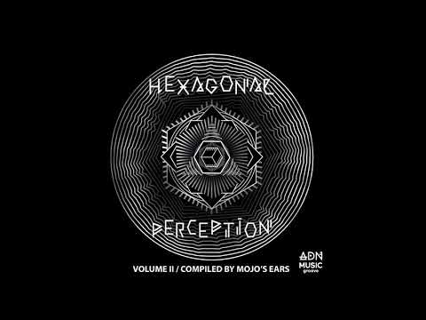 Hexagonal Perception II VA : 08 Amortalist & Virtual Dreamer - Where Would Man Be [ADN GROOVE]