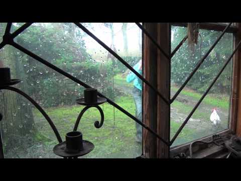 download lagu mp3 mp4 Dmg Deurne, download lagu Dmg Deurne gratis, unduh video klip Dmg Deurne