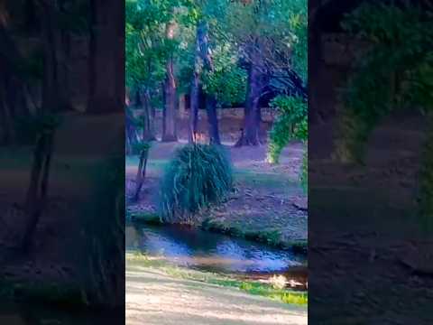 San Estèban, Punilla, Córdoba, Argentina.#sanesteban